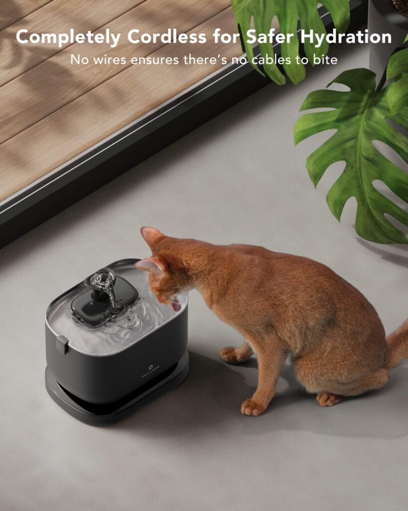 How to Create a DIY Eco-Friendly Pet Water Dispenser
