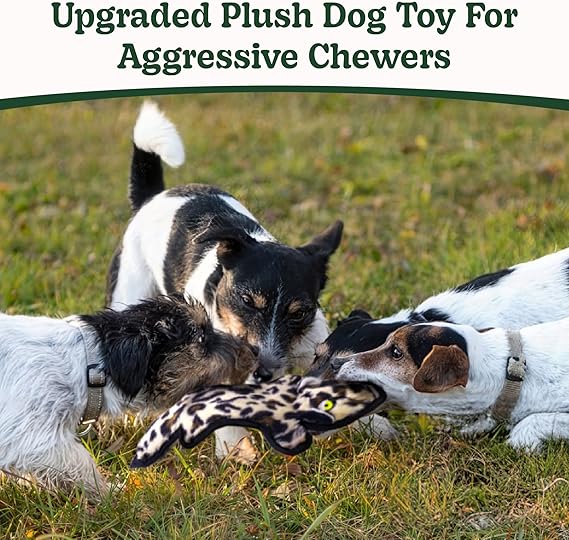 SHARLOVY No Stuffing Dog Toys Crinkle Squeaky, Long Lasting Chews for Aggressive
