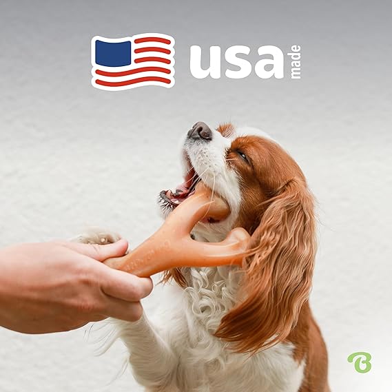 Dog Bones Choosing the Best for Your Furry Friend