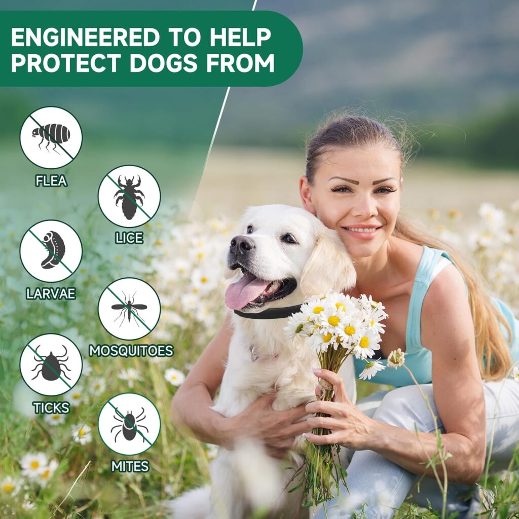 A Natural Solution for Your Pet’s Protection, Eco-Friendly Flea Repellent Collar: