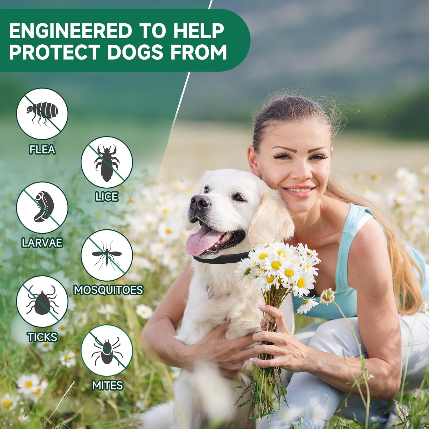 Best Eco-Friendly Flea Repellent Collar for Pets